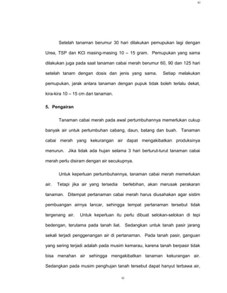 xi




       Setelah tanaman berumur 30 hari dilakukan pemupukan lagi dengan

Urea, TSP dan KCl masing-masing 10 – 15 gram. Pemupukan yang sama

dilakukan juga pada saat tanaman cabai merah berumur 60, 90 dan 125 hari

setelah tanam dengan dosis dan jenis yang sama.          Setiap melakukan

pemupukan, jarak antara tanaman dengan pupuk tidak boleh terlalu dekat,

kira-kira 10 – 15 cm dari tanaman.

5. Pengairan

       Tanaman cabai merah pada awal pertumbuhannya memerlukan cukup

banyak air untuk pertumbuhan cabang, daun, batang dan buah. Tanaman

cabai merah yang kekurangan air dapat mengakibatkan produksinya

menurun. Jika tidak ada hujan selama 3 hari berturut-turut tanaman cabai

merah perlu disiram dengan air secukupnya.

       Untuk keperluan pertumbuhannya, tanaman cabai merah memerlukan

air.   Tetapi jika air yang tersedia    berlebihan, akan merusak perakaran

tanaman. Ditempat pertanaman cabai merah harus diusahakan agar sistim

pembuangan airnya lancar, sehingga tempat pertanaman tersebut tidak

tergenang air.   Untuk keperluan itu perlu dibuat selokan-selokan di tepi

bedengan, terutama pada tanah liat. Sedangkan untuk tanah pasir jarang

sekali terjadi penggenangan air di pertanaman. Pada tanah pasir, ganguan

yang sering terjadi adalah pada musim kemarau, karena tanah berpasir tidak

bisa menahan air sehingga mengakibatkan tanaman kekurangan air.

Sedangkan pada musim penghujan tanah tersebut dapat hanyut terbawa air,

                                       xi
 