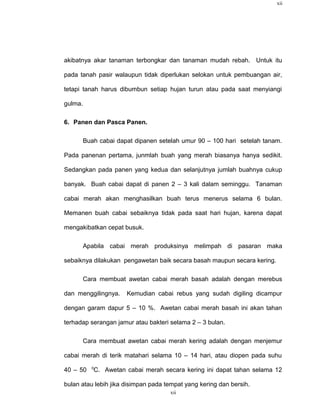 xii




akibatnya akar tanaman terbongkar dan tanaman mudah rebah. Untuk itu

pada tanah pasir walaupun tidak diperlukan selokan untuk pembuangan air,

tetapi tanah harus dibumbun setiap hujan turun atau pada saat menyiangi

gulma.

6. Panen dan Pasca Panen.

         Buah cabai dapat dipanen setelah umur 90 – 100 hari setelah tanam.

Pada panenan pertama, junmlah buah yang merah biasanya hanya sedikit.

Sedangkan pada panen yang kedua dan selanjutnya jumlah buahnya cukup

banyak. Buah cabai dapat di panen 2 – 3 kali dalam seminggu. Tanaman

cabai merah akan menghasilkan buah terus menerus selama 6 bulan.

Memanen buah cabai sebaiknya tidak pada saat hari hujan, karena dapat

mengakibatkan cepat busuk.

         Apabila cabai merah produksinya melimpah di pasaran maka

sebaiknya dilakukan pengawetan baik secara basah maupun secara kering.

         Cara membuat awetan cabai merah basah adalah dengan merebus

dan menggilingnya.     Kemudian cabai rebus yang sudah digiling dicampur

dengan garam dapur 5 – 10 %. Awetan cabai merah basah ini akan tahan

terhadap serangan jamur atau bakteri selama 2 – 3 bulan.

         Cara membuat awetan cabai merah kering adalah dengan menjemur

cabai merah di terik matahari selama 10 – 14 hari, atau diopen pada suhu
           0
40 – 50     C. Awetan cabai merah secara kering ini dapat tahan selama 12

bulan atau lebih jika disimpan pada tempat yang kering dan bersih.
                                      xii
 