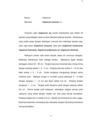 vii




      Genus               : Capsicum

      Speccies            : Capsicum annuum, L.




      Tanaman cabe (Capsicum sp) sendiri diperkirakan ada sekitar 20

spesies yang sebagian besar tumbuh ditempat asalnya Amerika. Diantaranya

yang sudah akrap dengan kehidupan manusia baru beberapa spesies saja,

yaitu cabe besar (Capsicum annuum), cabe kecil (Capsicum frustscens),

Capsicum baccatum, Capsicum pubescena dan Capsicum shinense.

      Walaupun varitas cabe besar banyak, tetapi ciri umumnya seragam.

Beberapa diantaranya ialah sebagai berikut.        Batangnya tegak dengan

ketinggian antara 50 – 90 cm. Tangkai daunnya horizontal atau miring-miring

dengan panjang sekitar 1, 5 – 4 cm. Panjang daunnya antara 4 – 10 cm dan

lebar antara 1, 5 – 5 cm.     Posisi bunganya mengantung dengan warna

mahkota putih.   Mahkota bunga ini memiliki cuping sebanyak 5 – 6 helai

dengan panjang 1 – 1,5 cm dan lebar sekitar 0,5 cm.          Panjang tangkai

bunganya 1 – 2 cm. Tangkai putik berwarna putih dengan panjang sekitar

0,5 cm.   Warna kepala putik kehijauan, sedangkan tangkai sarinya putih

walaupun yang dekat dengan kepala sari ada yang bercak kecoklatan.

Panjang tangkai sari ini sekitar 0,5 cm. Kepala sari berwarna biru atau unggu.

Buahnya berbentuk memanjang atau kebulatan dengan biji buahnya berwarna

kuning kecoklatan.



                                      vii
 