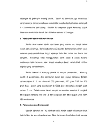 ix




sebanyak 15 gram per lubang tanam. Selain itu diberikan juga insektisida

yang biasanya berperan sebagai nematisida yang berbentuk butiran sebanyak

1 – 2 sendok the per lubang. Setalah itu campuran pupuk kandang, pupuk

dasar dan insektisida diaduk dan dibiarkan selama ± 2 minggu.


3. Persiapan Benih dan Persemaian

      Benih cabai merah dipilih dari buah yang sudah tua, tetapi belum

rontok adri pohonnya. Benih cabai tersebut diambil dari tanaman pilihan yakni

tanaman yang produksinya tinggi, vigornya baik dan bebas dari hama dan

penyakit.   Sebaiknya tidak menggunakan benih cabai di pasar, karena

kualitasnya tidak terjamin, akan tetapi sebaiknya benih cabai dibeli di Kios

Saprodi yang berlabel resmi.

      Benih disemai di kantong plastik di tempat persemaian.        Kantong

plastik di persemaian diisi campuran tanah dan pupuk kandang dengan

perbandingan 5 : 1 dan ditambah 500 gram urea, 250 gram TSP dan 250

gram KCl.   Benih yang disemaikan di Seed Bed ditebarkan dengan jarak

barisan 5 cm. Sebelumnya, tanah tempat persemaian tersebut di cangkul,

diberi pupuk kandang kira-kira 1/5 dari cangkulan dan diberi pupuk urea, TSP,

KCl secukupnya.

4. Penanaman dan Pemupukan

      Setelah berumur 30 – 40 hari bibit cabai merah sudah cukup kuat untuk

dipindahkan ke tempat pertanaman. Akar tanaman diusahakan tidak sampai


                                     ix
 
