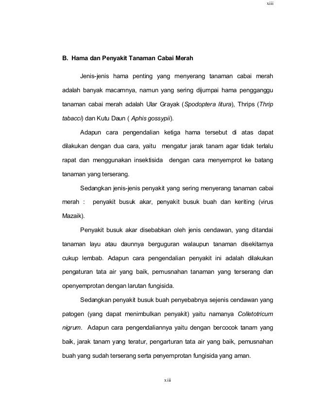 Tanaman Cabe