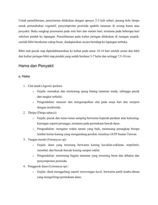 Untuk pemeliharaan, penyiraman dilakukan dengan sprayer 2-3 kali sehari, pasang bola lampu
untuk pertumbuhan vegetatif, penyemprotan pestisida apabila tanaman di serang hama atau
penyakit. Buka sungkup pesemaian pada sore hari dan malam hari, terutama pada beberapa hari
sebelum pindah ke lapangan. Pemeliharaan pada kultur jaringan dilakukan di ruangan aseptik,
setelah bibir berukuran cukup besar, diadaptasikan secara bertahap ke lapangan terbuka.
Bibit stek pucuk siap dipindahtanamkan ke kebun pada umur 10-14 hari setelah semai dan bibit
dari kultur jaringan bibit siap pindah yang sudah berdaun 5-7 helai dan setinggi 7,5-10 cm.

Hama dan Penyakit
a. Hama
1. Ulat tanah (Agrotis ipsilon)
o

Gejala: memakan dan memotong ujung batang tanaman muda, sehingga pucuk
dan tangkai terkulai.

o

Pengendalian: mencari dan mengumpulkan ulat pada senja hari dan semprot
dengan insektisida.

2. Thrips (Thrips tabacci)
o

Gejala: pucuk dan tunas-tunas samping berwarna keperak-perakan atau kekuningkuningan seperti perunggu, terutama pada permukaan bawah daun.

o

Pengendalian: mengatur waktu tanam yang baik, memasang perangkap berupa
lembar kertas kuning yang mengandung perekat, misalnya IATP buatan Taiwan.

3. Tungau merah (Tetranycus sp)
o

Gejala: daun yang terserang berwarna kuning kecoklat-coklatan, terpelintir,
menebal, dan bercak-bercak kuning sampai coklat.

o

Pengendalian: memotong bagian tanaman yang terserang berat dan dibakar dan
penyemprotan pestisida.

4. Penggerek daun (Liriomyza sp) :
o

Gejala: daun menggulung seperti terowongan kecil, berwarna putih keabu-abuan
yang mengelilingi permukaan daun.

 