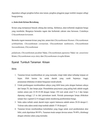 digunakan sebagai penghias kebun atau taman, penghias pinggiran pagar tembok maupun sebagi
bunga potong.
e. Jenis-Jenis Krisan Bercabang
Krisan yang mempunyai banyak cabang dan ranting. Akibatnya, akan terbentuk rangkaian bunga
yang membulat. Bunganya beraneka ragam dan berbentuk cakram atau bersusun. Contohnya
Crhysanthemum koreanum.
Beraneka ragam tanaman krisan yang lain, antara lain Chrysanthemum bloemen. Chrysanthemum
achilleifolium, Chrysanthemum coronarium, Chrysanthemum nankinensis, Chrysanthemum
leucoanthemum, Chrysanthemum
paludosum, Chrysanthemum pacifium Nakai, Chrysanthemum japonense Nakai var. asizuriense
Kitam, Chrysanthemum oxeye daisy dan Chrysanthemum siwogiku Kitam.

Syarat Tumbuh Tanaman Krisan
Iklim
1. Tanaman krisan membutuhkan air yang memadai, tetapi tidak tahan terhadap terpaan air
hujan.

Oleh

karena

itu

untuk

daerah

yang

curah

hujannya

tinggi,

penanaman dilakukan di dalam bangunan rumah plastik.
2. Untuk pembungaan membutuhkan cahaya yang lebih lama yaitu dengan bantuan cahaya
dari lampu TL dan lampu pijar. Penambahan penyinaran yang paling baik adalah tengah
malam antara jam 22.30–01.00 dengan lampu 150 watt untuk areal 9 m 2 dan lampu
dipasang setinggi 1,5 m dari permukaan tanah. Periode pemasangan lampu dilakukan
sampai fase vegetatif (2-8 minggu) untuk mendorong pembentukan bunga.
3. Suhu udara terbaik untuk daerah tropis seperti Indonesia adalah antara 20-26 derajat C.
Toleran suhu udara untuk tetap tumbuh adalah 17-30 derajat C.
4. Tanaman krisan membutuhkan kelembaban yang tinggi untuk awal pembentukan akar
bibit, setek diperlukan 90-95%. Tanaman muda sampai dewasa antara 70-80%, diimbangi
dengan sirkulasi udara yang memadai.

 