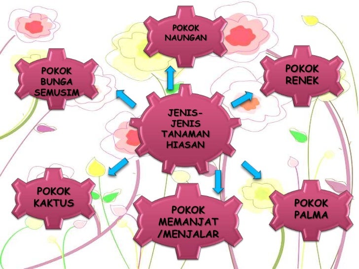 Tanaman hiasan Tanaman hiasan