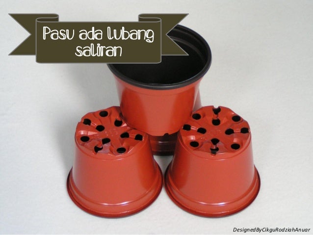 Image result for lubang pada pasu