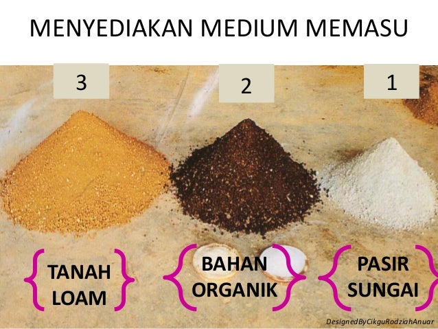 Tanaman hiasan tingkatan 2