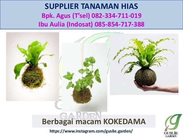 082334711019 085854717388 desain  taman  sederhana