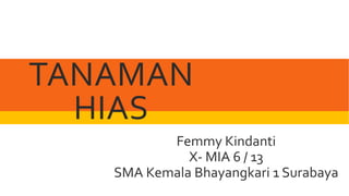 TANAMAN
HIAS
Femmy Kindanti
X- MIA 6 / 13
SMA Kemala Bhayangkari 1 Surabaya
 