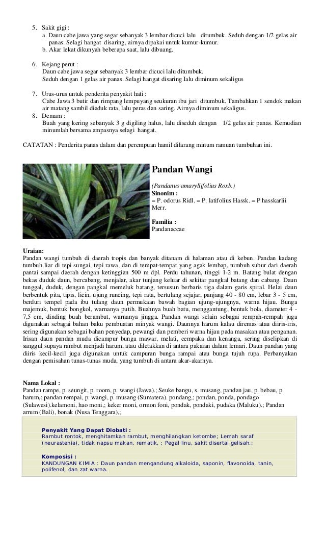 Tanaman obat pdf Tanaman obat pdf
