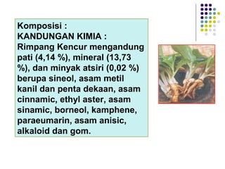 Komposisi :
KANDUNGAN KIMIA :
Rimpang Kencur mengandung
pati (4,14 %), mineral (13,73
%), dan minyak atsiri (0,02 %)
berupa sineol, asam metil
kanil dan penta dekaan, asam
cinnamic, ethyl aster, asam
sinamic, borneol, kamphene,
paraeumarin, asam anisic,
alkaloid dan gom.
 