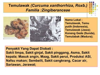 Temulawak (Curcuma xanthorrhiza, Roxb.)
Familia :Zingiberanceae
Penyakit Yang Dapat Diobati :
Sakit limpa, Sakit ginjal, Sakit pinggang, Asma, Sakit
kepala; Masuk angin, Maag, Sakit perut, Produksi ASI,
Nafsu makan; Sembelit, Sakit cangkrang, Cacar air,
Sariawan, Jerawat;
Nama Lokal :
Temulawak, Temu
putih (Indonesia),
Temulawak (Jawa);
Koneng Gede (Sunda),
Temulabak (Madura);
 