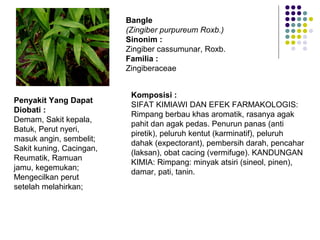 Bangle
(Zingiber purpureum Roxb.)
Sinonim :
Zingiber cassumunar, Roxb.
Familia :
Zingiberaceae
Penyakit Yang Dapat
Diobati :
Demam, Sakit kepala,
Batuk, Perut nyeri,
masuk angin, sembelit;
Sakit kuning, Cacingan,
Reumatik, Ramuan
jamu, kegemukan;
Mengecilkan perut
setelah melahirkan;
Komposisi :
SIFAT KIMIAWI DAN EFEK FARMAKOLOGIS:
Rimpang berbau khas aromatik, rasanya agak
pahit dan agak pedas. Penurun panas (anti
piretik), peluruh kentut (karminatif), peluruh
dahak (expectorant), pembersih darah, pencahar
(laksan), obat cacing (vermifuge). KANDUNGAN
KIMIA: Rimpang: minyak atsiri (sineol, pinen),
damar, pati, tanin.
 