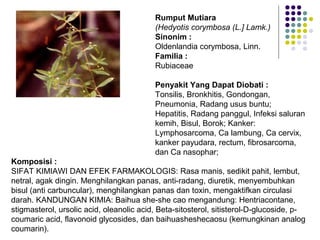 Komposisi :
SIFAT KIMIAWI DAN EFEK FARMAKOLOGIS: Rasa manis, sedikit pahit, lembut,
netral, agak dingin. Menghilangkan panas, anti-radang, diuretik, menyembuhkan
bisul (anti carbuncular), menghilangkan panas dan toxin, mengaktifkan circulasi
darah. KANDUNGAN KIMIA: Baihua she-she cao mengandung: Hentriacontane,
stigmasterol, ursolic acid, oleanolic acid, Beta-sitosterol, sitisterol-D-glucoside, p-
coumaric acid, flavonoid glycosides, dan baihuasheshecaosu (kemungkinan analog
coumarin).
Rumput Mutiara
(Hedyotis corymbosa (L.] Lamk.)
Sinonim :
Oldenlandia corymbosa, Linn.
Familia :
Rubiaceae
Penyakit Yang Dapat Diobati :
Tonsilis, Bronkhitis, Gondongan,
Pneumonia, Radang usus buntu;
Hepatitis, Radang panggul, Infeksi saluran
kemih, Bisul, Borok; Kanker:
Lymphosarcoma, Ca lambung, Ca cervix,
kanker payudara, rectum, fibrosarcoma,
dan Ca nasophar;
 