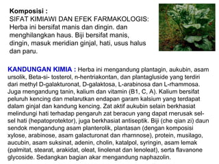Komposisi :
SIFAT KIMIAWI DAN EFEK FARMAKOLOGIS:
Herba ini bersifat manis dan dingin. dan
menghilangkan haus. Biji bersifat manis,
dingin, masuk meridian ginjal, hati, usus halus
dan paru.
KANDUNGAN KIMIA : Herba ini mengandung plantagin, aukubin, asam
ursolik, Beta-si- tosterol, n-hentriakontan, dan plantagluside yang terdiri
dari methyl D-galakturonat, D-galaktosa, L-arabinosa dan L-rhammosa.
Juga rnengandung tanin, kalium dan vitamin (B1, C, A). Kalium bersifat
peluruh kencing dan melarutkan endapan garam kalsium yang terdapat
dalam ginjal dan kandung kencing. Zat aktif aukubin selain berkhasiat
melindungi hati terhadap pengaruh zat beracun yang dapat rnerusak sel-
sel hati (hepatoprotektor), juga berkhasiat antiseptik. Biji (che qian zi) daun
sendok mengandung asam planterolik, plantasan (dengan komposisi
xylose, arabinose, asam galacturonat dan rharnnose), protein, musilago,
aucubin, asam suksinat, adenin, cholin, katalpol, syringin, asam lemak
(palmitat, stearat, arakidat, oleat, linolenat dan lenoleat), serta flavanone
glycoside. Sedangkan bagian akar mengandung naphazolin.
 