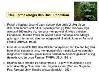 1. Fraksi etil asetat (asam) daun sendok dgn dosis 2 glkg bb yg
diberikan secara oral pd tikus putih jantan yg telah diinduksi dgn
asetosal 200 mglkg bb, ternyata mempunyai aktivitas antiuicer.
Penapisan fitokimia fraksi etil asetat asam menunjukkan adanya
golongan triterpenoid dan monoterpenoid (Sariati, Jurusan Farinasi
FMIPA UNPAD, 1993).
2. Infus daun sendok 10% dan 20% terhadap kelarutan Ca dan Mg dari
batu ginjal secara in vitro, mempunyai efek melarutkan kalsium dan
magnesium dari batu ginjal secara bermakna dibandingkan air suling
(Ismedsyah, Jurusan Farmasi FMIPA USU, 1991).
3. Ekstrak daun sendok pd konsentrasi 1 - 3 g/wi menunjukkan daya
antibakteri thdp S. aureus dan Shigella sonnei (Meriana Sugiarto,
Fak. Farmasi Univ. Katolik Widya Mandala, 1992).
Efek Farmakologis dan Hasil Penelitian
 