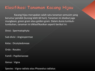 Kacang hijau merupakan salah satu tanaman semusim yang 
berumur pendek (kurang lebih 60 hari). Tanaman ini disebut juga 
mungbean, green gram atau golden gram. Dalam dunia tumbuh-tumbuhan, 
tanaman ini diklasifikasikan seperti berikut ini. 
Divisi : Spermatophyta 
Sub-divisi : Angiospermae 
Kelas : Dicotyledoneae 
Ordo : Rosales 
Famili : Papilionaceae 
Genus : Vigna 
Spesies : Vigna radiata atau Phaseolus radiatus 

