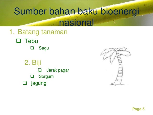  Tanaman penghasil bioenergi