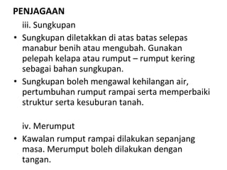 PENJAGAAN iii. Sungkupan Sungkupan diletakkan di atas batas selepas manabur benih atau mengubah. Gunakan pelepah kelapa atau rumput – rumput kering sebagai bahan sungkupan.  Sungkupan boleh mengawal kehilangan air, pertumbuhan rumput rampai serta memperbaiki struktur serta kesuburan tanah. iv. Merumput Kawalan rumput rampai dilakukan sepanjang masa. Merumput boleh dilakukan dengan tangan. 