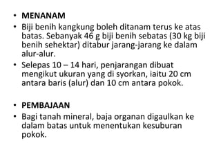 MENANAM Biji benih kangkung boleh ditanam terus ke atas batas. Sebanyak 46 g biji benih sebatas (30 kg biji benih sehektar) ditabur jarang-jarang ke dalam alur-alur.  Selepas 10 – 14 hari, penjarangan dibuat mengikut ukuran yang di syorkan, iaitu 20 cm antara baris (alur) dan 10 cm antara pokok.   PEMBAJAAN Bagi tanah mineral, baja organan digaulkan ke dalam batas untuk menentukan kesuburan pokok.  