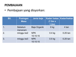 PEMBAJAAN Pembajaan yang disyorkan:  Bil. Pusingan Masa Jenis baja Kadar/ batas (7.5m x 1.2m) Kadar/hektar 1. Sebelum menanam Baja Organik 6 kg 4 tan 2.  minggu ke2 NPK 15:15:15 0.4 kg 0.25 tan 3. minggu ke3 NPK 15:15:15 0.5 kg 0.25 tan 