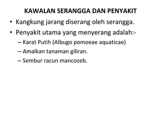 KAWALAN SERANGGA DAN PENYAKIT Kangkung jarang diserang oleh serangga. Penyakit utama yang menyerang adalah:- Karat Putih (Albugo pomoeae aquaticae)  Amalkan tanaman giliran.  Sembur racun mancozeb. 