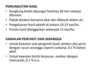PEMUNGUTAN HASIL Kangkung boleh dipungut hasilnya 30 hari selepas ditanam.  Pokok dicabut bersama akar dan dibasuh dalam air.  Pengeluaran hasil adalah di antara 10-15 tan/ha.  Purata hasil dianggarkan sebanyak 12 tan/ha. KAWALAN PENYAKIT DAN SERANGGA Untuk kawalan ulat pengorek buah sembur jika perlu dengan racun serangga seperti carbaryl, 0.1 % bahan aktif.  Untuk kawalan bintik berpusar, sembur dengan mancozeb, 0.1 % b.a. 