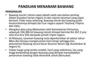 PANDUAN MENANAM BAWANG PENGENALAN Bawang merah (  Alium cepa ) adalah salah satu bahan penting dalam masakan harian negara ini dan sejenis tanaman yang cepat berhasil. Pada masa sekarang, bawang merah dan bawang putih keseluruhannya diimpot dari luar negara seperti Thailand, Filipina dan India.  Mengikut data yang dikeluarkan oleh Kementerian Pertanian, sebanyak 194,300 mt bawang merah diimpot bernilai Rm 267.2 juta iaitu kira-kira 33% daripada jumlah impot negara. Di Malaysia, tanaman bawang mula diperkenalkan di sekitar tahun 80an dan berjaya mengeluarkan hasil tetapi sehingga kini, penanaman bawang secara besar-besaran belum lagi diusahakan di negara ini.  Faktor harga yang terlalu rendah, hasil yang sederhana, kos yang tinggi berbanding dengan bawang yang diimpot menyebabkan penanaman bawang tidak ekonomik untuk diteruskan. 