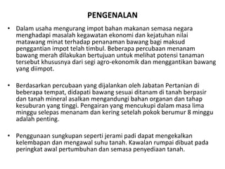 PENGENALAN Dalam usaha mengurang impot bahan makanan semasa negara menghadapi masalah kegawatan ekonomi dan kejatuhan nilai matawang minat terhadap penanaman bawang bagi maksud penggantian impot telah timbul. Beberapa percubaan menanam bawang merah dilakukan bertujuan untuk melihat potensi tanaman tersebut khususnya dari segi agro-ekonomik dan menggantikan bawang yang diimpot. Berdasarkan percubaan yang dijalankan oleh Jabatan Pertanian di beberapa tempat, didapati bawang sesuai ditanam di tanah berpasir dan tanah mineral asalkan mengandungi bahan organan dan tahap kesuburan yang tinggi. Pengairan yang mencukupi dalam masa lima minggu selepas menanam dan kering setelah pokok berumur 8 minggu adalah penting.  Penggunaan sungkupan seperti jerami padi dapat mengekalkan kelembapan dan mengawal suhu tanah. Kawalan rumpai dibuat pada peringkat awal pertumbuhan dan semasa penyediaan tanah. 