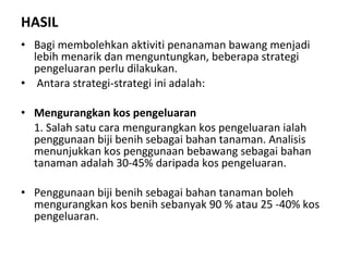 HASIL Bagi membolehkan aktiviti penanaman bawang menjadi lebih menarik dan menguntungkan, beberapa strategi pengeluaran perlu dilakukan.    Antara strategi-strategi ini adalah: Mengurangkan kos pengeluaran 1. Salah satu cara mengurangkan kos pengeluaran ialah penggunaan biji benih sebagai bahan tanaman. Analisis menunjukkan kos penggunaan bebawang sebagai bahan tanaman adalah 30-45% daripada kos pengeluaran.   Penggunaan biji benih sebagai bahan tanaman boleh mengurangkan kos benih sebanyak 90 % atau 25 -40% kos pengeluaran. 
