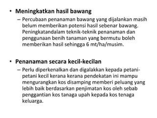 Meningkatkan hasil bawang Percubaan penanaman bawang yang dijalankan masih belum memberikan potensi hasil sebenar bawang. Peningkatandalam teknik-teknik penanaman dan penggunaan benih tanaman yang bermutu boleh memberikan hasil sehingga 6 mt/ha/musim. Penanaman secara kecil-kecilan Perlu diperkenalkan dan digalakkan kepada petani-petani kecil kerana kerana pendekatan ini mampu mengurangkan kos disamping memberi peluang yang lebih baik berdasarkan penjimatan kos oleh sebab penggantian kos tanaga upah kepada kos tenaga keluarga. 