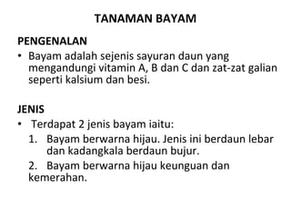 TANAMAN BAYAM PENGENALAN Bayam adalah sejenis sayuran daun yang mengandungi vitamin A, B dan C dan zat-zat galian seperti kalsium dan besi.   JENIS   Terdapat 2 jenis bayam iaitu: 1.  Bayam berwarna hijau. Jenis ini berdaun lebar  dan kadangkala berdaun bujur. 2.  Bayam berwarna hijau keunguan dan  kemerahan. 