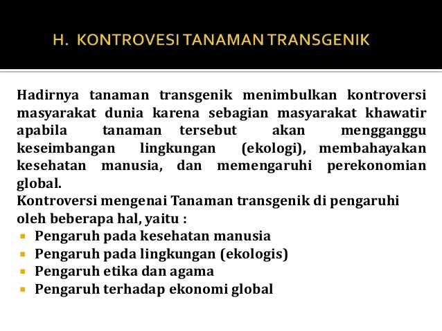 ppt kajian jurnal tomat transgenik