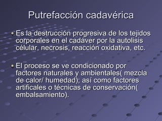 Putrefacción cadavérica Es la destrucción progresiva de los tejidos corporales en el cadáver por la autolisis célular, necrosis, reacción oxidativa, etc. El proceso se ve condicionado por factores naturales y ambientales( mezcla de calor/ humedad); así como factores artificales o técnicas de conservación( embalsamiento). 