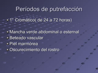 Períodos de putrefacción 1° Cromático( de 24 a 72 horas) Mancha verde abdominal o esternal Beteado vascular Piel marmórea Oscurecimiento del rostro 