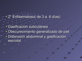 2° Enfisematoso( de 3 a  6 días) Gasificación subcutánea Obscurecimiento generalizado de piel Distensión abdominal y gasificación escrotal. 