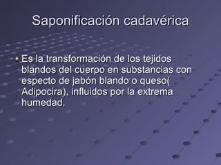 Saponificación cadavérica Es la transformación de los tejidos blandos del cuerpo en substancias con especto de jabón blando o queso( Adipocira), influidos por la extrema humedad. 