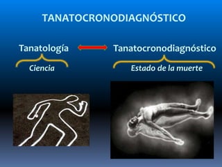 tanatocronodiagnostico-141010055239-conversion-gate02.pdf