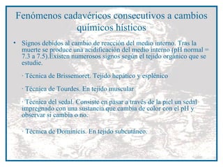 Fenómenos cadavéricos consecutivos a cambios químicos hísticos Signos debidos al cambio de reacción del medio interno. Tras la muerte se produce una acidificación del medio interno (pH normal = 7.3 a 7.5).Existen numerosos signos según el tejido orgánico que se estudie. · Técnica de Brissemoret. Tejido hepático y esplénico · Técnica de Tourdes. En tejido muscular · Técnica del sedal. Consiste en pasar a través de la piel un sedal  impregnado con una sustancia que cambia de color con el pH y observar si cambia o no. · Técnica de Dominicis. En tejido subcutáneo. 