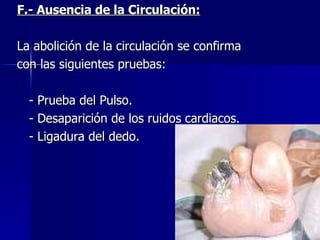 F.- Ausencia de la Circulación: La abolición de la circulación se confirma  con las siguientes pruebas: - Prueba del Pulso. - Desaparición de los ruidos cardiacos. - Ligadura del dedo. 