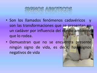 SIGNOS ABIOTICOSSon los llamados fenómenos cadavéricos  y son las transformaciones que se presentan en un cadáver por influencia del medio ambiente que lo rodea.Demuestran que no se encuentra presente ningún signo de vida, es decir, hay signos negativos de vida