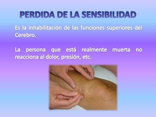 PERDIDA DE LA SENSIBILIDADEs la inhabilitación de las funciones superiores del Cerebro.La persona que está realmente muerta no reacciona al dolor, presión, etc.