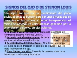 SIGNOS DEL OJO O DE STENON LOUISEste signo consiste en un hundimiento del globo ocular, además se pueden apreciar unas arrugas que se presentan en las corneas al perder transparencia, así mismo se observa un color arenoso generado por la acumulación de polvo, en ojos abiertos.Midriasis Pupilar: La pupila se dilata por la pérdida de control del Sistema Nervioso Central.