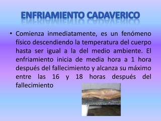 PRUEBA DE ICARDLa cual consiste en inyectar cinco mililitros de una solución de fluoresceína por vía intravenosa. Lo que da como resultado en el paciente vivo, una coloración amarilla en la piel y un tono verdoso esmeralda en el segmento anterior de los ojos en un tiempo no mayor de cinco minutos. Lo cual quiere decir que aun existe circulación en el organismo. Esta pruebe es determinante