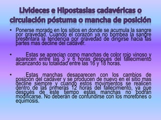 ENFRIAMIENTO CADAVERICOComienza inmediatamente, es un fenómeno físico descendiendo la temperatura del cuerpo hasta ser igual a la del medio ambiente. El enfriamiento inicia de media hora a 1 hora después del fallecimiento y alcanza su máximo entre las 16 y 18 horas después del fallecimiento