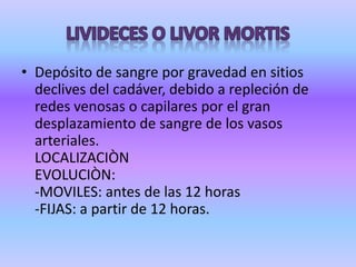 Livideces e Hipostasias cadavéricas o circulación póstuma o mancha de posición Ponerse morado en los sitios en donde se acumula la sangre por gravedad. Cuando el corazón ya no bombea la sangre presentara la tendencia por gravedad de dirigirse hacia las partes mas decline del cadáver.	Estas se aprecian como manchas de color rojo vinoso y aparecen entre las 3 y 6 horas después del fallecimiento alcanzando su totalidad entre las 16 y 18 horas.	Estas manchas desaparecen con los cambios de posición del cadáver y se producen de nuevo en el sitio mas decline siempre y cuando estos movimientos se realicen dentro de las primeras 12 horas del fallecimiento, ya que después de este tiempo estas manchas no podrán modificarse. No deberán de confundirse con los moretones o equimosis.