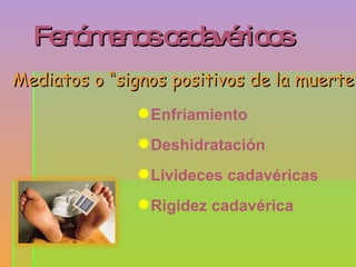 Mediatos o “signos positivos de la muerte” Fenómenos cadavéricos Enfriamiento Deshidratación Livideces cadavéricas Rigidez cadavérica 