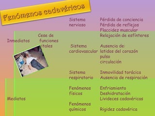 Sistema Pérdida de conciencia nervioso Pérdida de reflejos Flaccidez muscular Cese de Relajación de esfínteres Inmediatos  funciones   vitales  Sistema  Ausencia de: cardiovascular latidos del corazón pulso circulación Sistema Inmovilidad torácica respiratorio Ausencia de respiración Fenómenos Enfriamiento físicos Deshidratación Mediatos  Livideces cadavéricas Fenómenos químicos Rigidez cadavérica Tardíos Fenómenos Putrefacción cadavérica biológicos Conservación cadavérica 