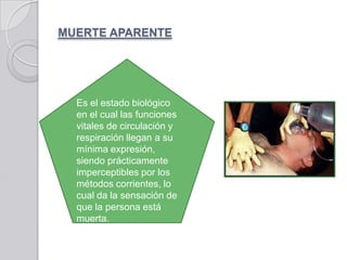 MUERTE APARENTE




  Es el estado biológico
  en el cual las funciones
  vitales de circulación y
  respiración llegan a su
  mínima expresión,
  siendo prácticamente
  imperceptibles por los
  métodos corrientes, lo
  cual da la sensación de
  que la persona está
  muerta.
 