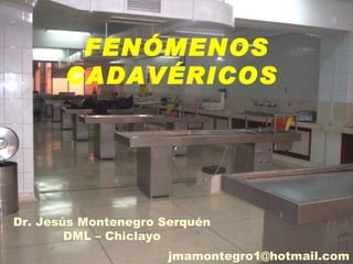FENÓMENOS
       CADAVÉRICOS




Dr. Jesús Montenegro Serquén
        DML – Chiclayo
                      jmamontegro1@hotmail.com
 