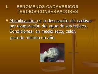 FENOMENOS CADAVERICOS TARDIOS-CONSERVADORES Momificación:  es la desecación del cadáver por evaporación del agua de sus tejidos. Condiciones: en medio seco, calor. periodo mínimo un año. 
